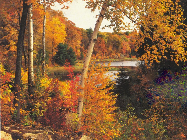 Lac-Balsac-automne